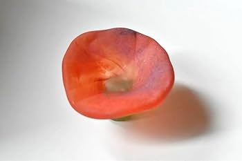 Amazon.co.jp: ｜完売品TSUNE 田中恒子花小鉢 椿 オブジェ｜作家